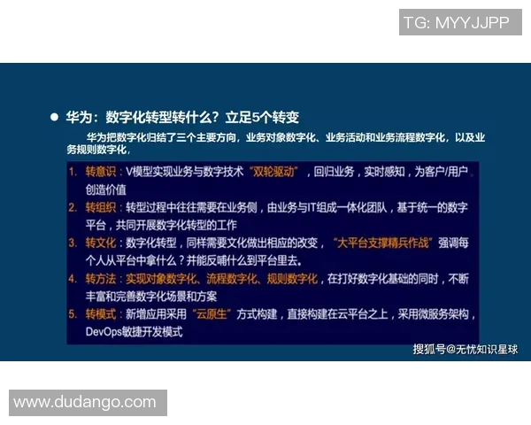 构建高效欧陆平台DevOps体系助力企业数字化转型与创新发展