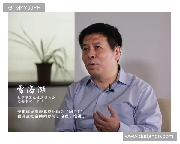 红桃国际自主决策框架助力企业高效决策与创新发展模式探讨