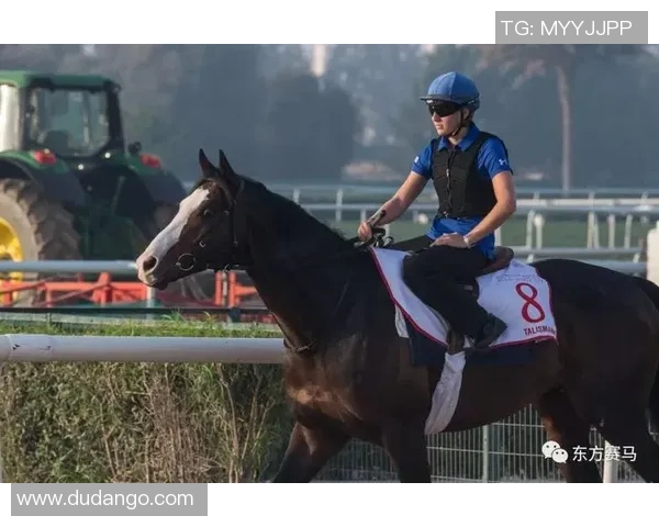赛马博彩平台如何实现直播数据与投注的高效整合与优化分析