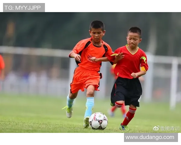 48队赛制全面评估报告：优势分析问题探讨及优化建议分享